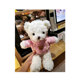 'Teddy Bear With Scented Soap Rose / Baby Breath Flower Bouquet & LED Fairy Lights Birthday, Anniversary, Congratulations, Get Well Soon, Graduation, etc. (Nationwide Delivery)