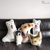 Paws Memorie Personalised Pet's Pillow | Full Body (Nationwide Delivery)