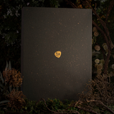 DADE Gifting Wonder Moon Box (Nationwide Delivery)
