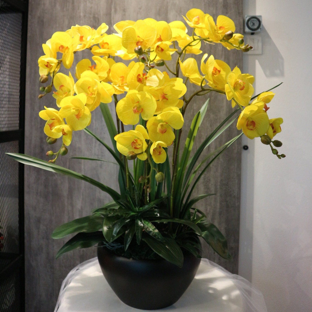 Premium Quality Large Artificial Orchid Flowers (6 Stalks)
