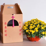 CNY 2021 Prosperity Chrysanthemum Plant