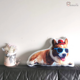 Paws Memorie Personalised Pet's Pillow | Full Body (Nationwide Delivery)