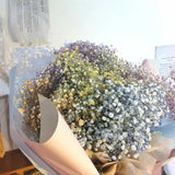 Pandora Baby Breath Flower Bouquet (Klang Valley Delivery)