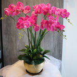 Premium Quality Artificial Orchid in Gold Pot (5 stalks)