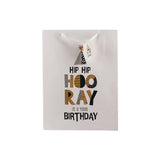 Birthday Gift Bag (Large) - 4 Assorted Designs (Set of 2) | Nationwide Delivery