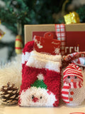 Christmas - Bird's Nest Gift Set