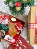 Christmas - Bird's Nest Gift Set