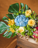 The Fruit Basket - Style C (XL Size) (Klang Valley Delivery)