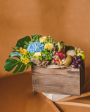 The Fruit Basket - Style C (XL Size) (Klang Valley Delivery)