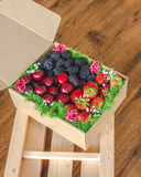 The Trio - Nutrition + Anti-Oxidant Gift Box (Klang Valley Delivery)