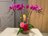 CNY 2024 Purple Orchid 05 (Fresh Flower) (Klang Valley Delivery Only)
