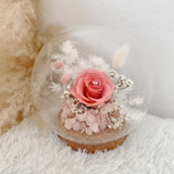 V2023 Diamond Star Bell Jar (Preserved Flower)  (Johor Bahru Delivery)