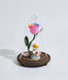 Love of Pluto Bell Jar  (Preserved Flower) (Klang Valley Delivery)