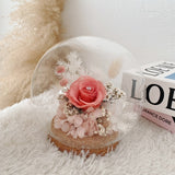 V2023 Diamond Star Bell Jar (Preserved Flower)  (Johor Bahru Delivery)