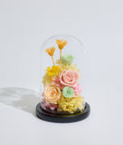 Our New Chapter Bell Jar  (Preserved Flower) (Klang Valley Delivery)