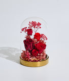 My One and Only Bell Jar  (Preserved Flower) (Klang Valley Delivery)