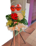 Pink and Red Fresh Gerbera Opening Flower Wooden Stand