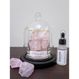 Cryscent Premium Crystal Aromatherapy with Rose Quartz Set (Nationwide Delivery)