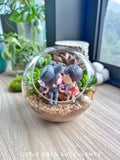 Round Glass Succulent Terrarium (L) With Couple Figurine -  Klang Valley Delivery