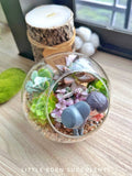 Round Glass Succulent Terrarium (L) With Couple Figurine -  Klang Valley Delivery