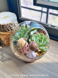 Round Glass Succulent Terrarium (L) With Couple Figurine -  Klang Valley Delivery