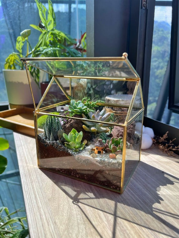 gold succulent terrarium Succulent Arrangement In Golden Frame House Terrarium Glass- | Giftr