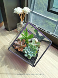 Black Frame Cubical Terrarium - Klang Valley Delivery