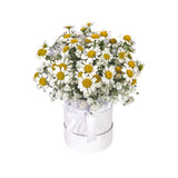 Mini Daisy Bloom Box (Klang Valley Delivery Only)