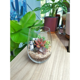 Tall Glass Succulent Terrarium (M) - Klang Valley Delivery