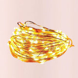 Fairy LED Lights