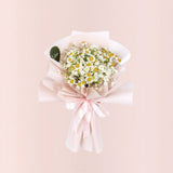 Mini Chamomile
