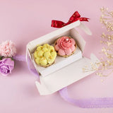 Ombre Belgian Moist Chocolate Cupcake Set (2pcs)