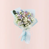 Mini Pastel Baby Breath