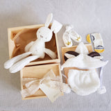 New Born Baby Gift Box 11 (Klang Valley Delivery)