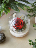 (Valentine's Day 2020) Sanctuary Preserved Red Rose Globe