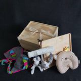 New Born Baby Gift Box - BXL06 (Klang Valley Delivery)
