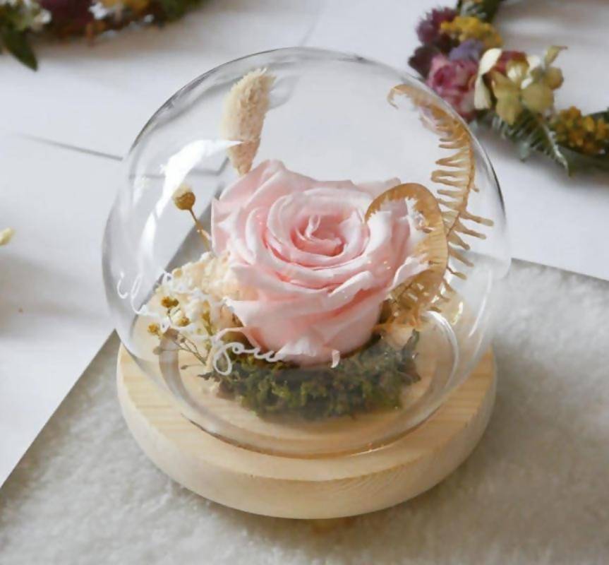 (Valentine's Day 2020) Sanctuary Preserved Pink Rose Globe