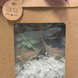 Lively Pots of Succulent Plant Garden Gift Set with Personalised Custom Message/Name (Klang Valley Delivery)