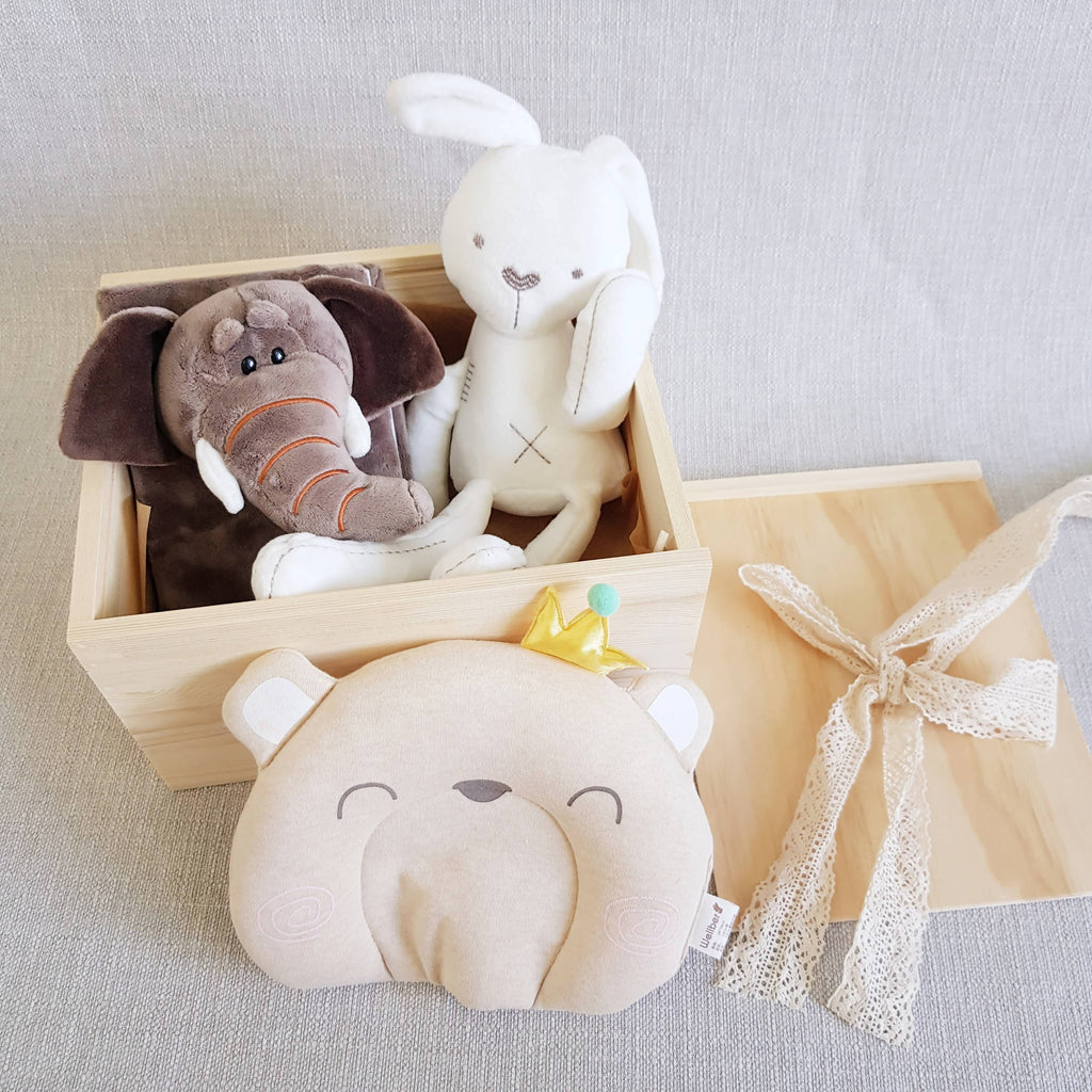 New Born Baby Gift Box 10 (Klang Valley Delivery)