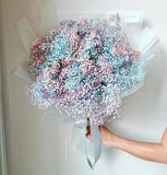 Large Mixed Baby Breath