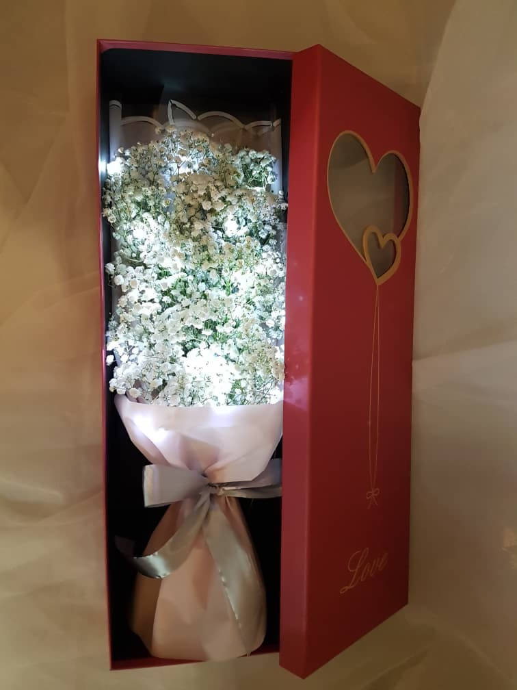 Baby Box (Valentine's Day 2019)