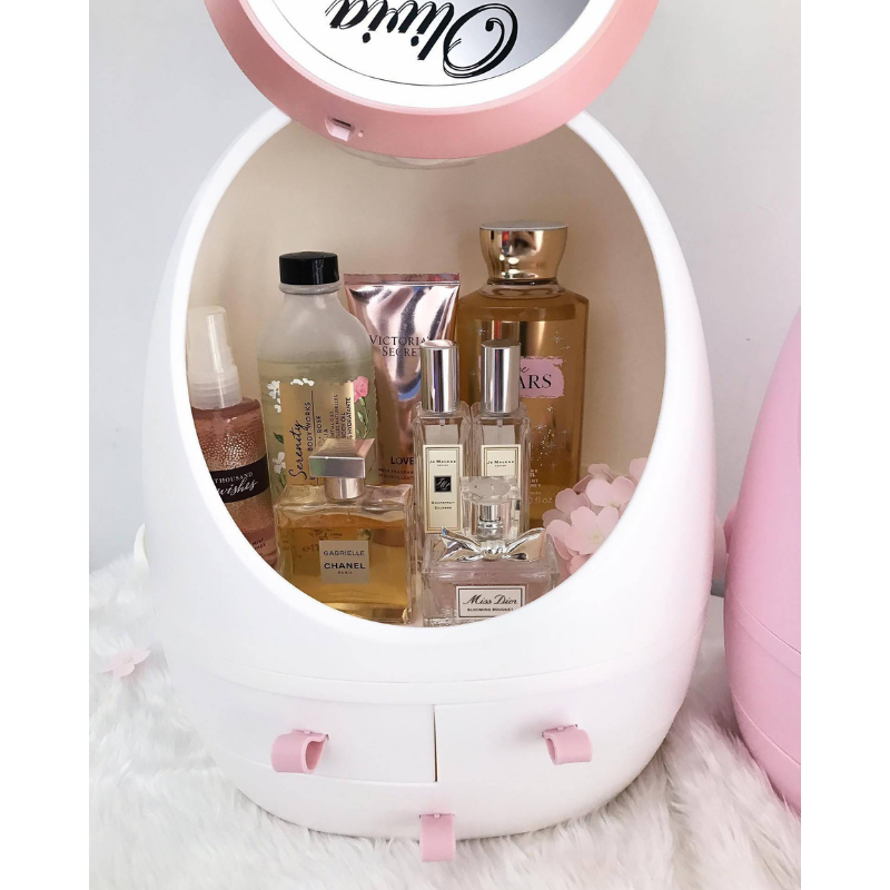 LED Mirror Vanity Makeup Organizer Case (Nationwide Delivery) Giftr