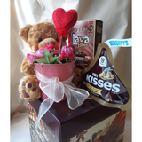 Teddy Bear With Artificial Pink Mini Roses Pot, Cookies & Kisses Chocolate Gift Box (Klang Valley Delivery)