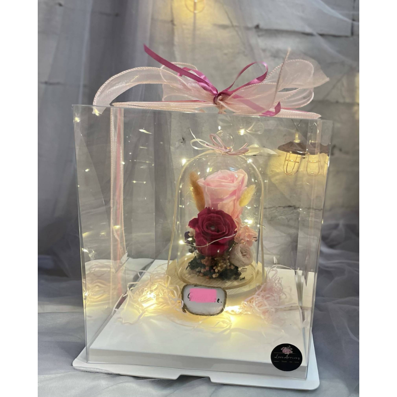 Preserved Flower Dome With Lighting In Transparent Box (Kota Kinabalu