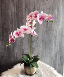 Copy of Artificial Orchid Flower with Gold Pot