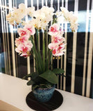 Artificial White Orchid in Vase