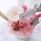 Fluffy Cloud Preserved Flower Box (White)
