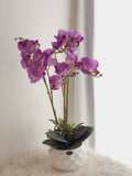 Premium Latex Artificial Special Purple Orchid Flower with Pot ( 3 Stalks)