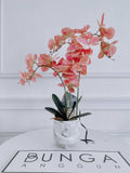 Orchid in Vase (Artificial Flower) | (Kuching Delivery Only)