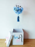 Gender Reveal Surprise Box